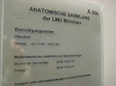 24 Besuch der Anatomischen Schausammlung der LMU